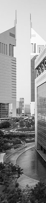 Dubai City View